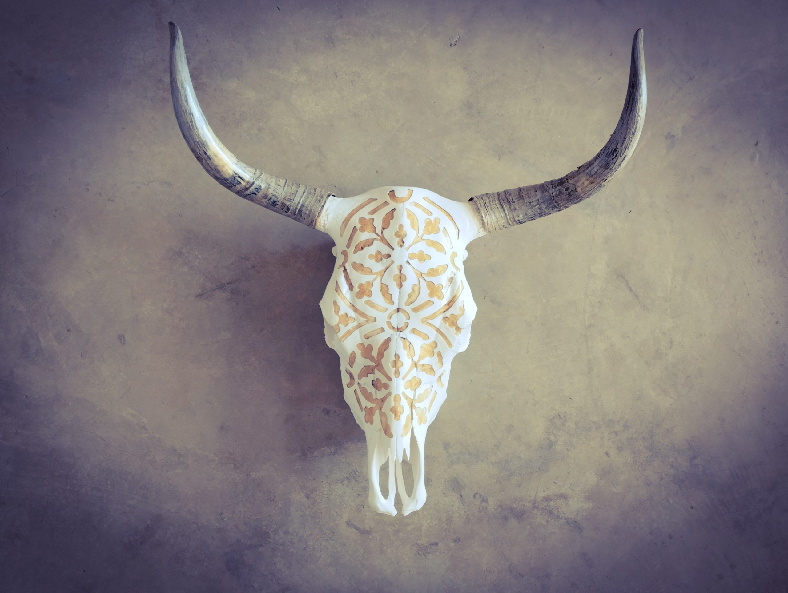 Cyanotype_Art Muse Collective